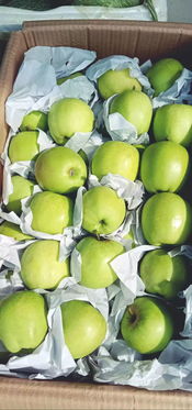 廣南國(guó)際物流綜合貿(mào)易中心迎來(lái)新活力 新水果批發(fā)市場(chǎng)正式進(jìn)駐，引領(lǐng)新鮮水果零售新篇章